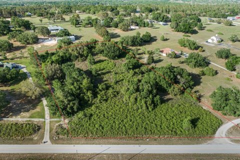 Terreno en venta en Clermont, Florida № 1636317 - foto 3