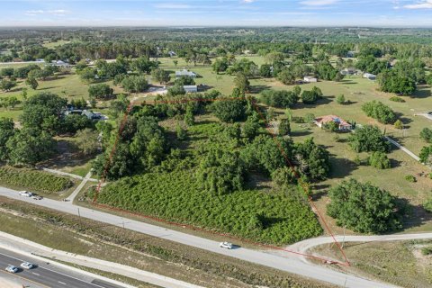 Terreno en venta en Clermont, Florida № 1636317 - foto 8