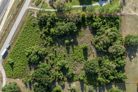 Terreno en venta en Clermont, Florida № 1636317 - foto 5