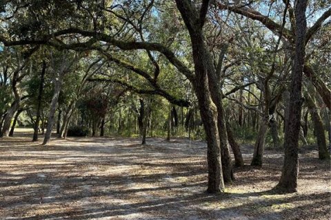 Terreno en venta en Spring Hill, Florida № 1545640 - foto 9