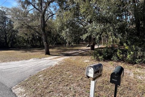 Terreno en venta en Spring Hill, Florida № 1545640 - foto 6