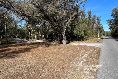 Terreno en venta en Spring Hill, Florida № 1545640 - foto 8