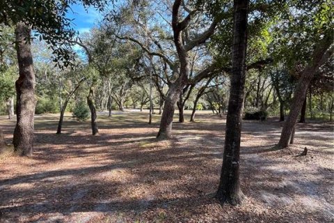 Terreno en venta en Spring Hill, Florida № 1545640 - foto 3