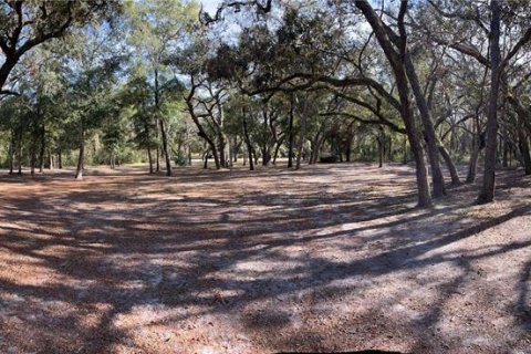 Terreno en venta en Spring Hill, Florida № 1545640 - foto 1