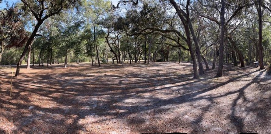Terreno en Spring Hill, Florida № 1545640
