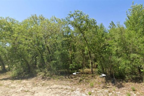 Land in Dunnellon, Florida № 2228642