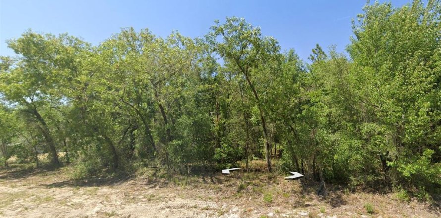 Terreno en Dunnellon, Florida № 2228642