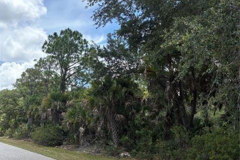 Land in Port Charlotte, Florida № 2230661 - photo 2
