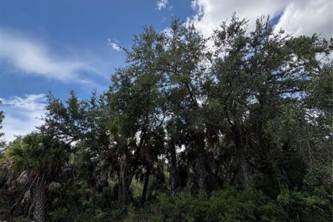 Land in Port Charlotte, Florida № 2230661 - photo 3