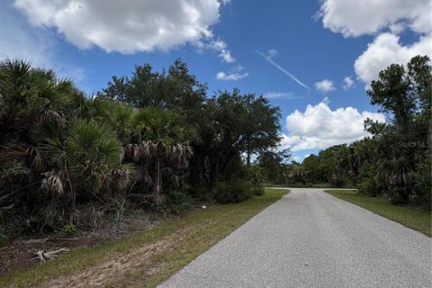 Land in Port Charlotte, Florida № 2230661 - photo 4