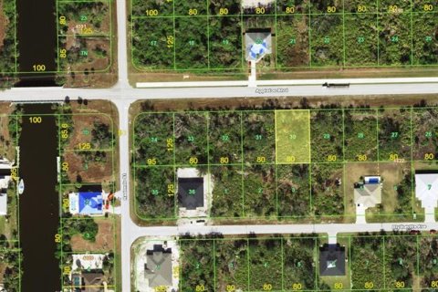 Land in Port Charlotte, Florida № 2160037 - photo 2