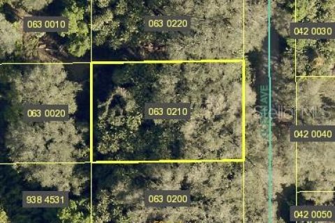 Land in Lehigh Acres, Florida № 1519654 - photo 2