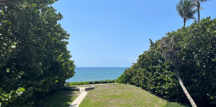 House in Gulf Stream, Florida 3 bedrooms, 305.56 sq.m. № 49095