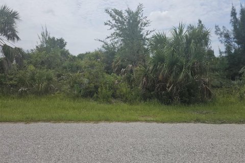 Land in Port Charlotte, Florida № 1386325 - photo 1