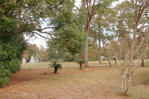 House in Homosassa, Florida 3 bedrooms, 133.78 sq.m. № 1582478 - photo 14