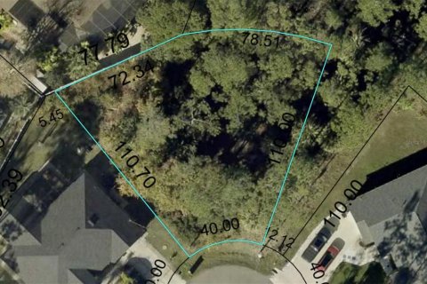 Land in Palm Coast, Florida № 2379060