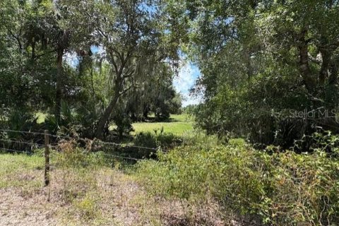 Land in Arcadia, Florida № 1833439 - photo 1