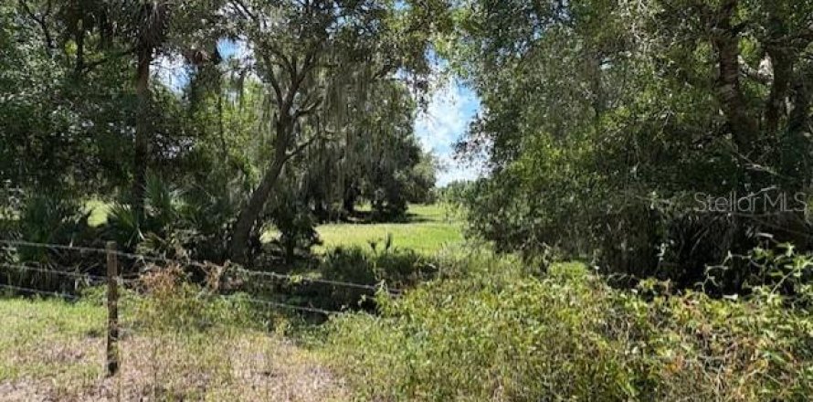 Land in Arcadia, Florida № 1833439
