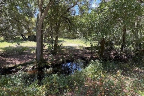 Land in Arcadia, Florida № 1833439 - photo 2