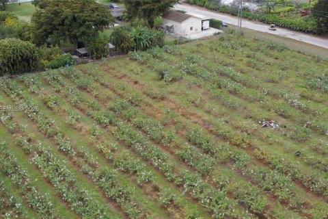 Immobilier commercial à vendre à Miami-Dade, Floride № 2048825 - photo 6