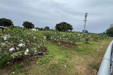 Immobilier commercial à vendre à Miami-Dade, Floride № 2048825 - photo 10