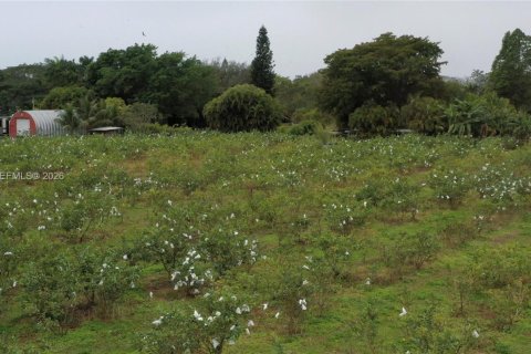 Immobilier commercial à vendre à Miami-Dade, Floride № 2048825 - photo 3