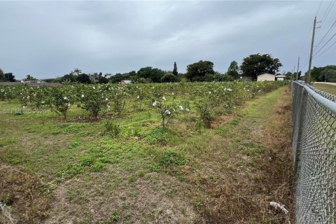 Immobilier commercial à vendre à Miami-Dade, Floride № 2048825 - photo 12