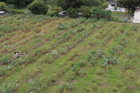 Immobilier commercial à vendre à Miami-Dade, Floride № 2048825 - photo 7