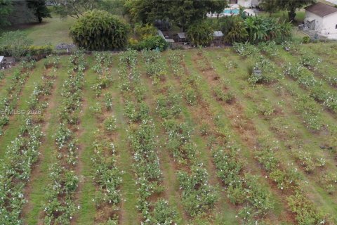 Immobilier commercial à vendre à Miami-Dade, Floride № 2048825 - photo 5