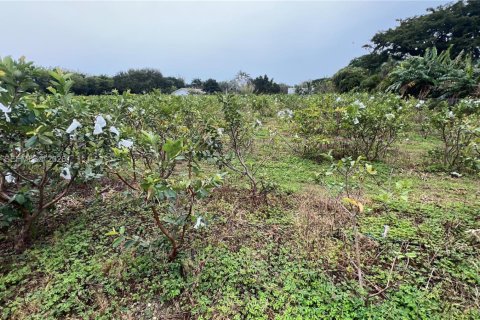 Immobilier commercial à vendre à Miami-Dade, Floride № 2048825 - photo 21