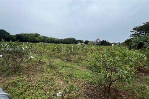 Immobilier commercial à vendre à Miami-Dade, Floride № 2048825 - photo 17