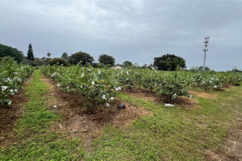 Immobilier commercial à vendre à Miami-Dade, Floride № 2048825 - photo 16