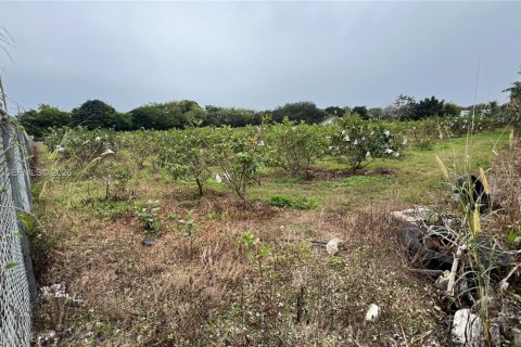 Immobilier commercial à vendre à Miami-Dade, Floride № 2048825 - photo 20