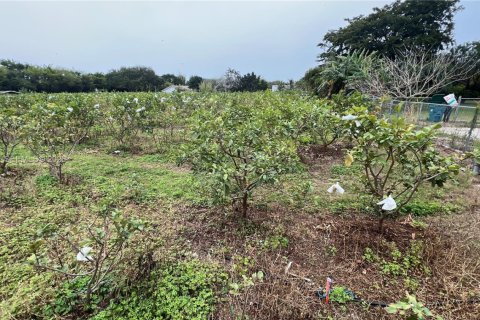 Immobilier commercial à vendre à Miami-Dade, Floride № 2048825 - photo 19