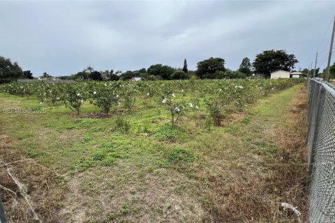 Immobilier commercial à vendre à Miami-Dade, Floride № 2048825 - photo 13