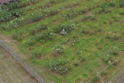 Immobilier commercial à vendre à Miami-Dade, Floride № 2048825 - photo 9