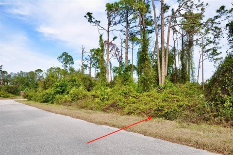 Land in Port Charlotte, Florida № 2232678 - photo 6