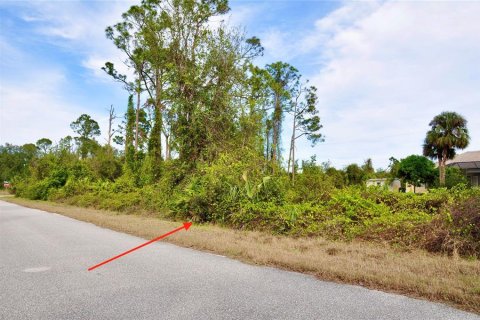 Land in Port Charlotte, Florida № 2232678 - photo 7