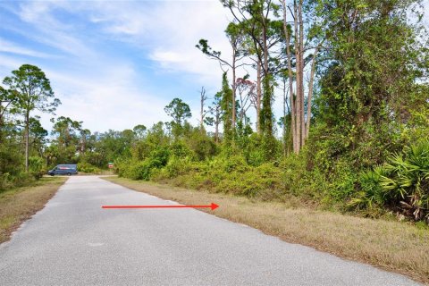 Land in Port Charlotte, Florida № 2232678 - photo 5