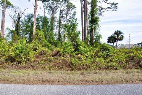 Land in Port Charlotte, Florida № 2232678 - photo 8