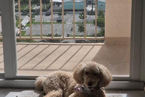 Condo in Hallandale Beach, Florida, 1 bedroom  № 2170033 - photo 20