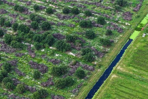 Commercial property in LaBelle, Florida № 2060020 - photo 9