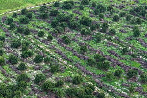 Commercial property in LaBelle, Florida № 2060020 - photo 11