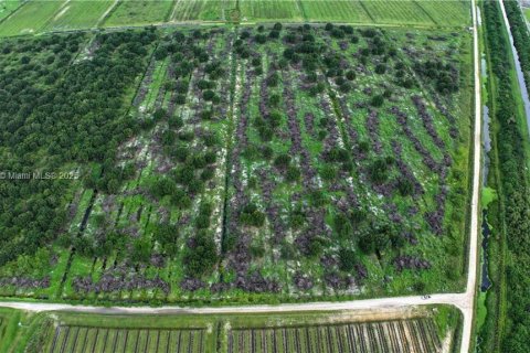 Commercial property in LaBelle, Florida № 2060020 - photo 10