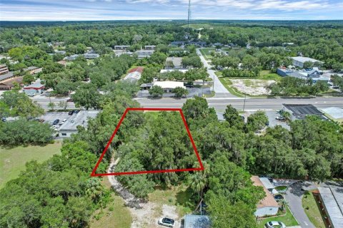 Terreno en venta en Orange City, Florida № 1901055 - foto 5