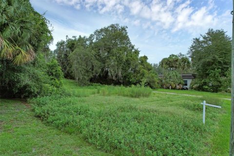 Terreno en venta en Orange City, Florida № 1901055 - foto 9