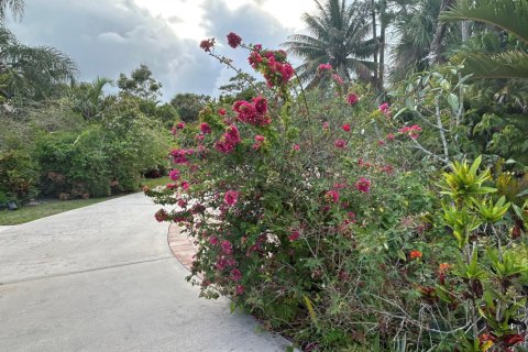 Casa en venta en Lake Worth, Florida, 3 dormitorios, 384.62 m2 № 2187621 - foto 3