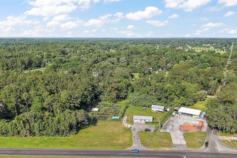 Commercial property in Ocala, Florida 120.77 sq.m. № 1755149 - photo 5