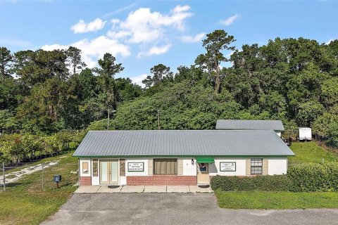 Commercial property in Ocala, Florida 120.77 sq.m. № 1755149 - photo 2