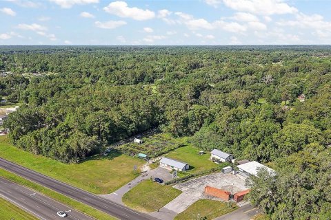 Commercial property in Ocala, Florida 120.77 sq.m. № 1755149 - photo 6